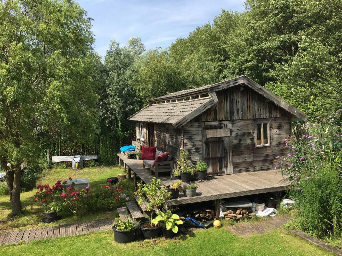 Cabin In The Green - Near Amsterdam Велсен-Зёйд Экстерьер фото